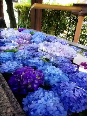 桜神宮(東京都)