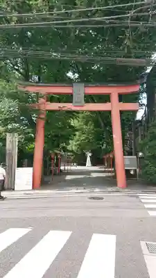 赤城神社の鳥居