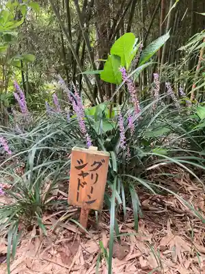 弘長寺(長野県)