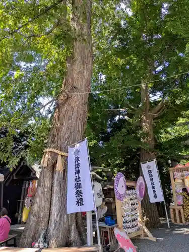 札幌諏訪神社の自然