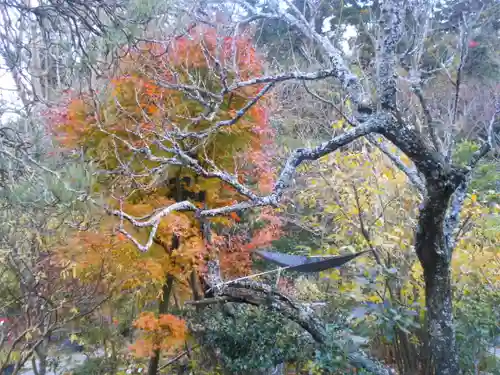 光則寺の庭園