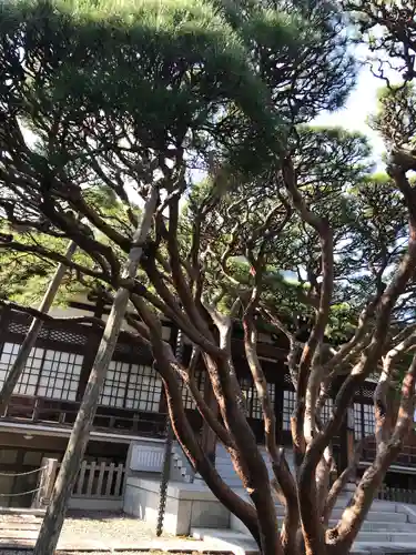長松寺の自然