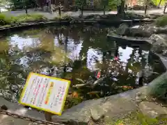 伊豆山神社の動物