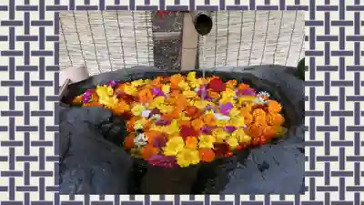 馬場氷川神社(埼玉県)