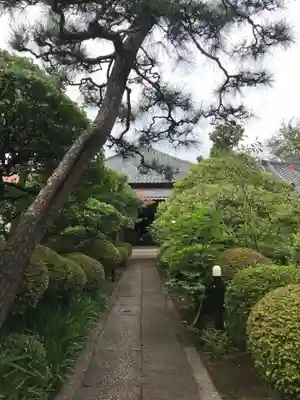 光岳寺の本殿・本堂