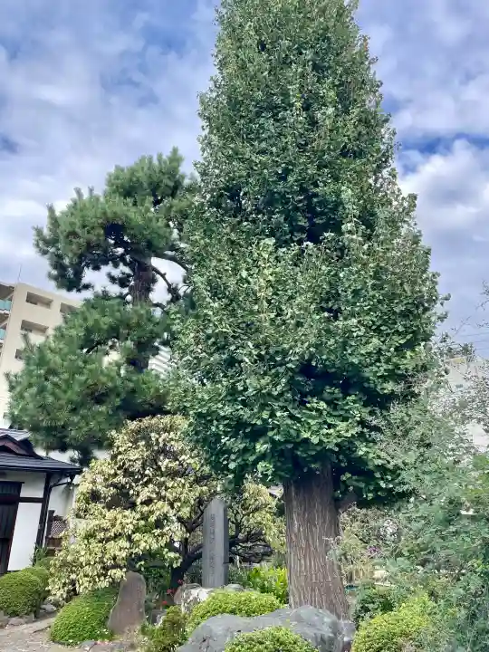 長福寺(東京都)