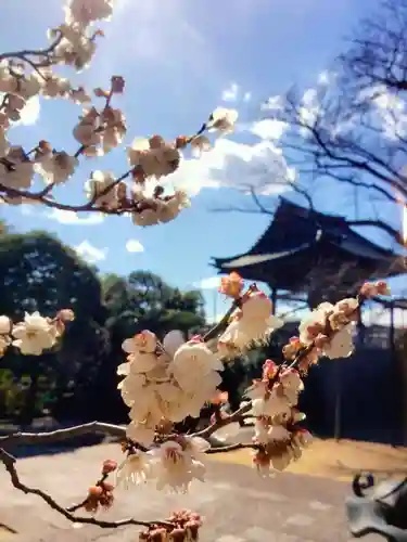 福蔵院(東京都)