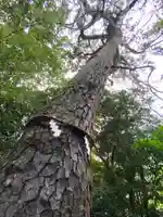 第六天神社(神奈川県)