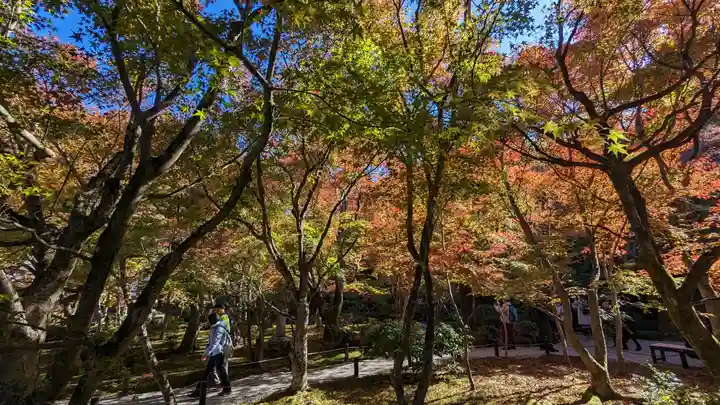 圓光寺(京都府)