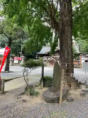 安積國造神社(福島県)