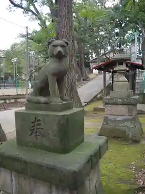 桜川御嶽神社（上板橋御嶽神社）の狛犬