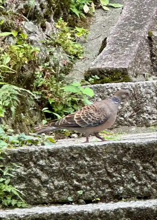 宝山寺(奈良県)