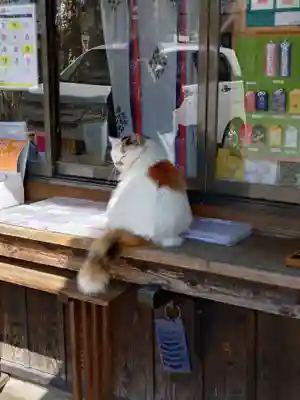 阿邪訶根神社(福島県)