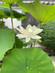 浄谷寺(大阪府)