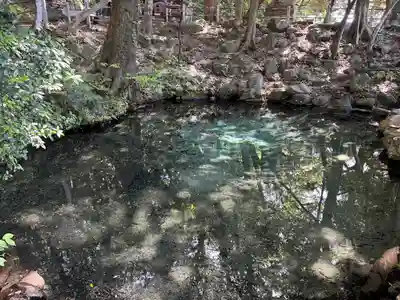 泉神社(茨城県)