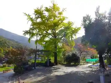 白山神社(滋賀県)