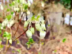 滑川神社 - 仕事と子どもの守り神の自然