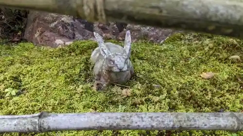 雙林寺（双林寺）(京都府)
