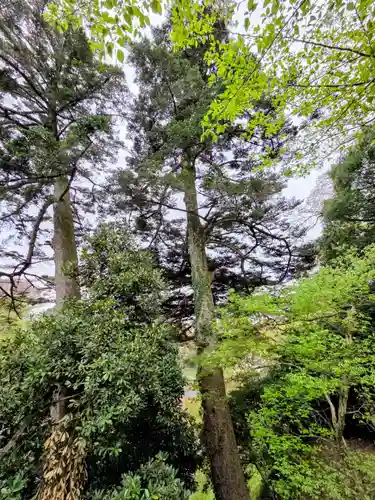 熊野神社(神奈川県)