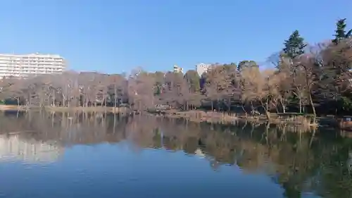 井の頭弁財天（大盛寺）の周辺