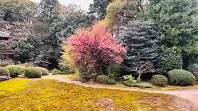 隨心院(随心院)(京都府)