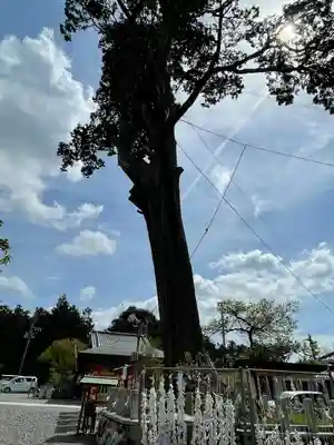 矢奈比賣神社（見付天神）(静岡県)