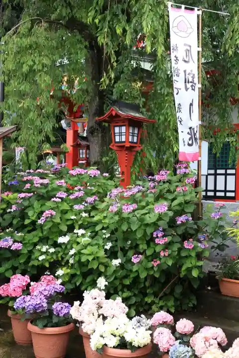川越八幡宮(埼玉県)