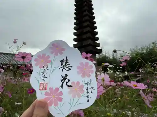 般若寺 ❁﻿コスモス寺❁(奈良県)