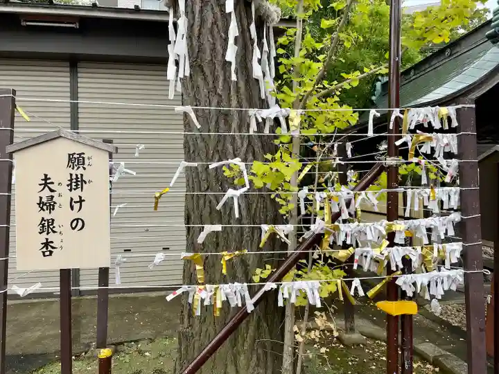 溝口神社のその他建物