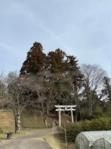 諏訪八坂両神社の鳥居