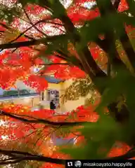 滑川神社 - 仕事と子どもの守り神の自然