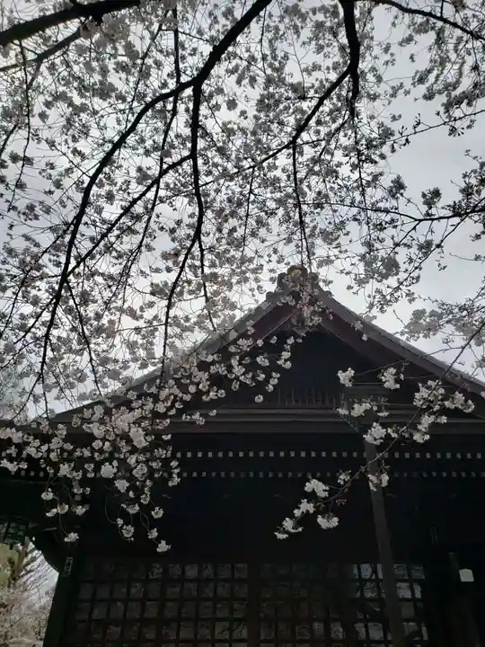 熊野神社(東京都)