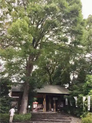 阿佐ヶ谷神明宮の山門