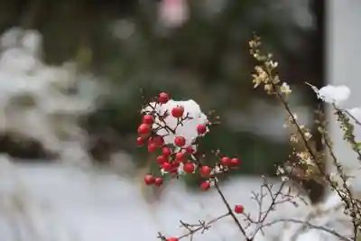 滑川神社 - 仕事と子どもの守り神の授与品その他