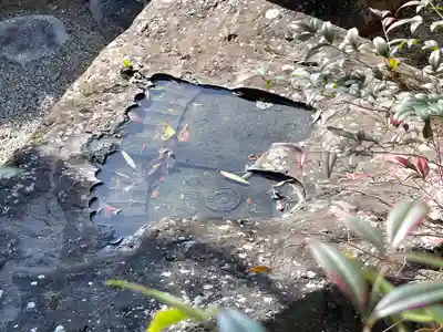 白毫寺(滋賀県)