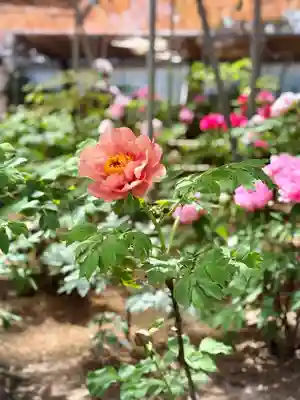 薬師院(兵庫県)