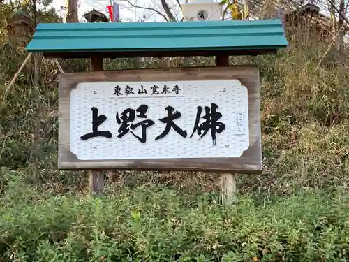 上野大佛(東京都)