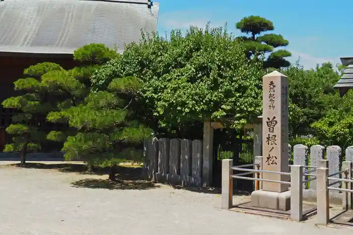 曽根天満宮(兵庫県)