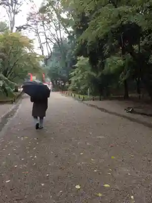 賀茂御祖神社（下鴨神社）のその他建物