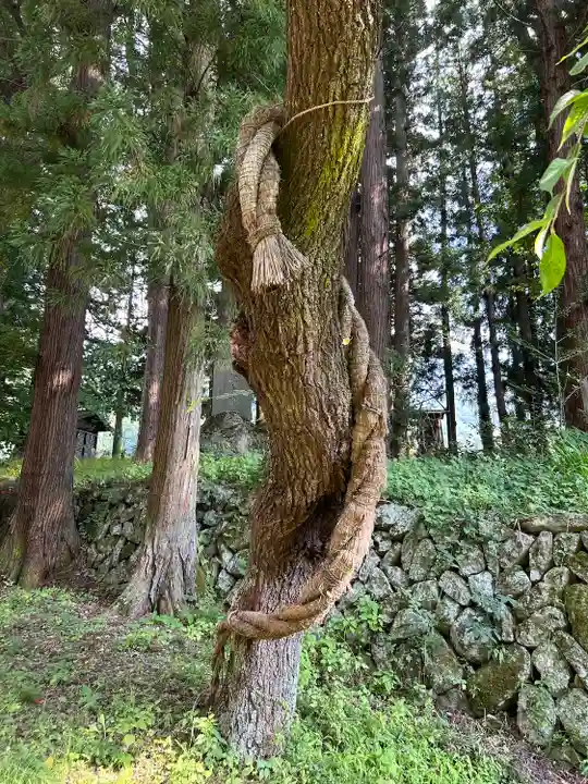山家神社(長野県)