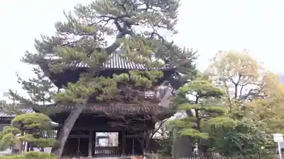 泉岳寺の山門・神門