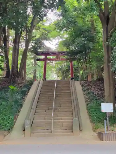 氷川女體神社の鳥居