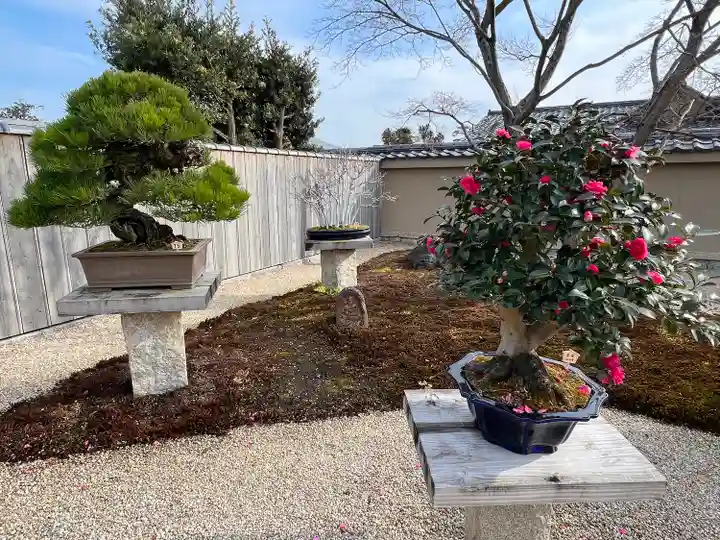 芳春院(京都府)