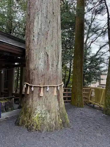 椿大神社(三重県)