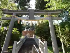 大島神社の鳥居