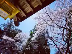 滑川神社 - 仕事と子どもの守り神の自然