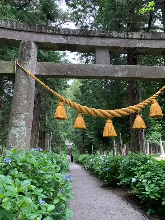 磯山神社の鳥居
