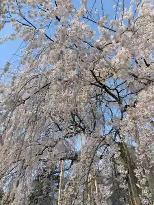 足羽神社(福井県)