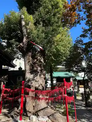 三輪神社(愛知県)