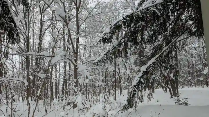 雨紛神社の自然